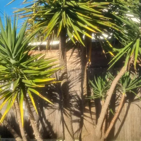 Σπίτι διακοπών Maison De Bord De ,hyeres, 3 Chambres, Jardin, Calme *